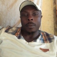 Belleroph Frank