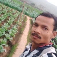 Samir Kandi