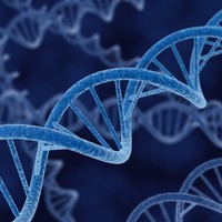 Nutrigenomics Lifevantage