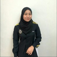 Nur Hamieza Aminuddin