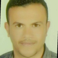 Hesham Lashin