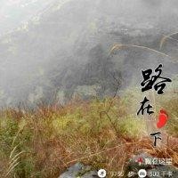 卢云土
