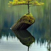 郑立功