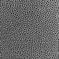 Michigan Texture Technologies