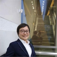茅薛金