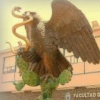 Mtro. Oscar Virgilio Herrera