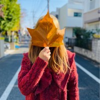 Lucy Ryu