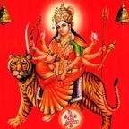 Anil Mishra
