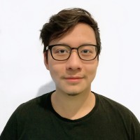 Duc Tung Le
