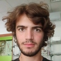 luca mirabile