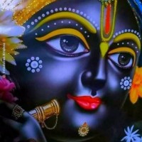 Neetu Neetu Dhakad