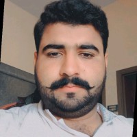 Hamza Nafees
