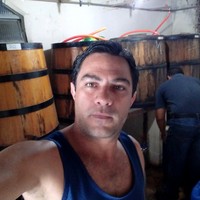 Lincoln Álvares Ferreira