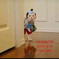 Cheikh A B Sougoufara