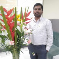 Basavaraju Kc