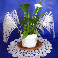 Yuriria I. Torres Alfaro