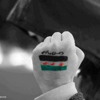 Syrian Ammory