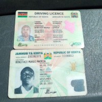 BONIFACE MWORIA