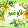Rajesh Thillan