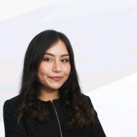 Nur Erdem