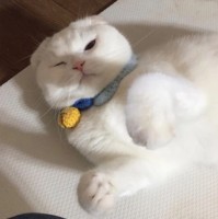 吕纪民