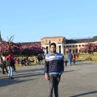 Prafful Negi