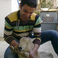 Ali Choukeir