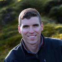 Matt Weir, Pla
