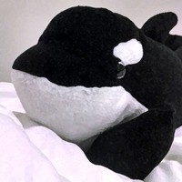 Robert Whale