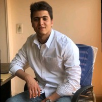 Hazem E.Saeed