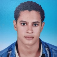 Ahmed Tamer