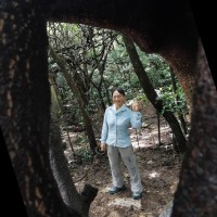 Joan Wong