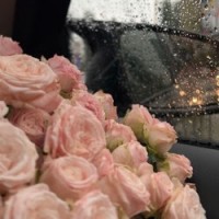 نهى البركاتي نهى البركاتي