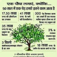 Uday Bhate