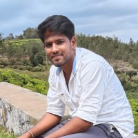 Vishnu M
