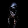 The Panther