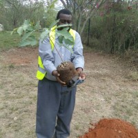 Solomon Odhiambo