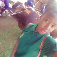 Bongi Thobela
