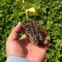 Marco Antonio Martínez Vidal