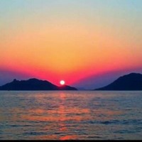 bulent ozunal