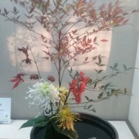 王昌立