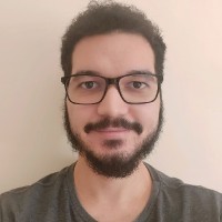 Moises Fabiano Jr, Phd