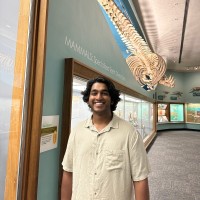 Ayush S.