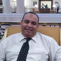 Abdelfattah Mohamed Abdelfattah