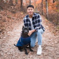 Junior Lo