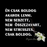 Anikó Szigeti