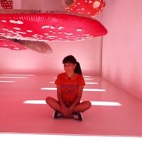 Daniela Fontana