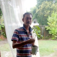 Mridul Gogoi