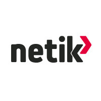 Netik - AlizNet Group