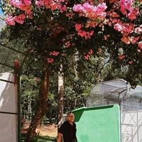 André Felipe